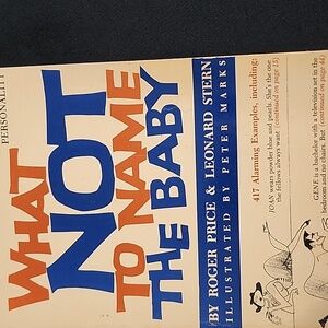 What not to name the baby book